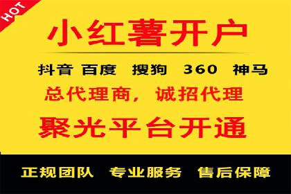 百度竞价广告投放策略：案例分析及效果评估